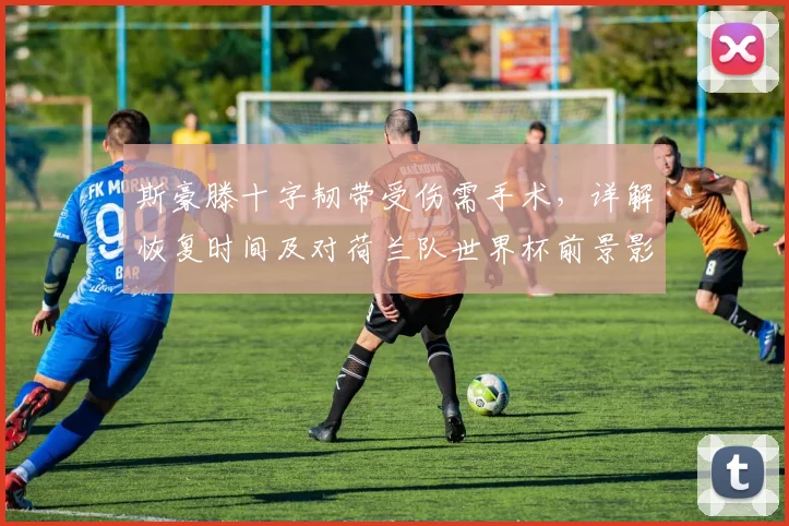 斯豪滕十字韧带受伤需手术,详解恢复时间及对荷兰队世界杯前景影响